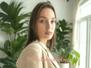 Wandaenderby