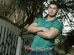 Waynneprice
