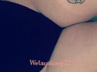 Wetanatomy22