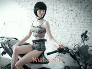 Wildcatcute