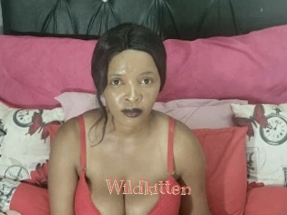 Wildkitten