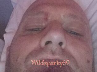 Wildsparky69