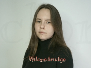 Wilonedrudge