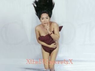 XtheBIGsecretsX Celebrix