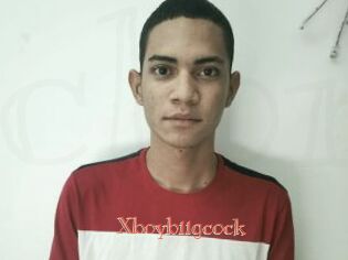 Xboybiigcock