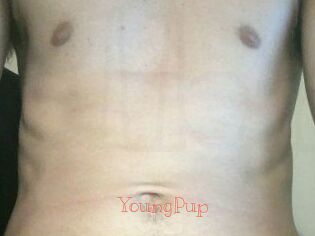YoungPup Celebrix