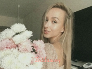 Zeldaacey