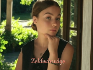 Zeldadrudge