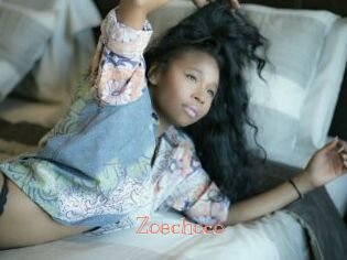 zoechoco Celebrix