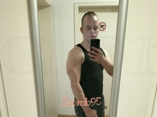 Zsomb95